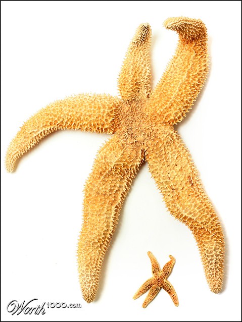 Photography by SigloV