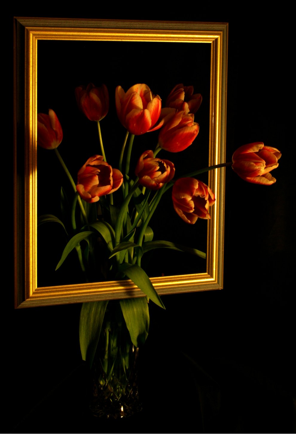 Photography by saturn673 for DesignCrowd (Community Contests) | Design #8989301