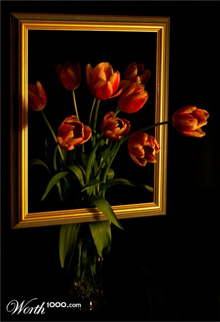 Photography by saturn673