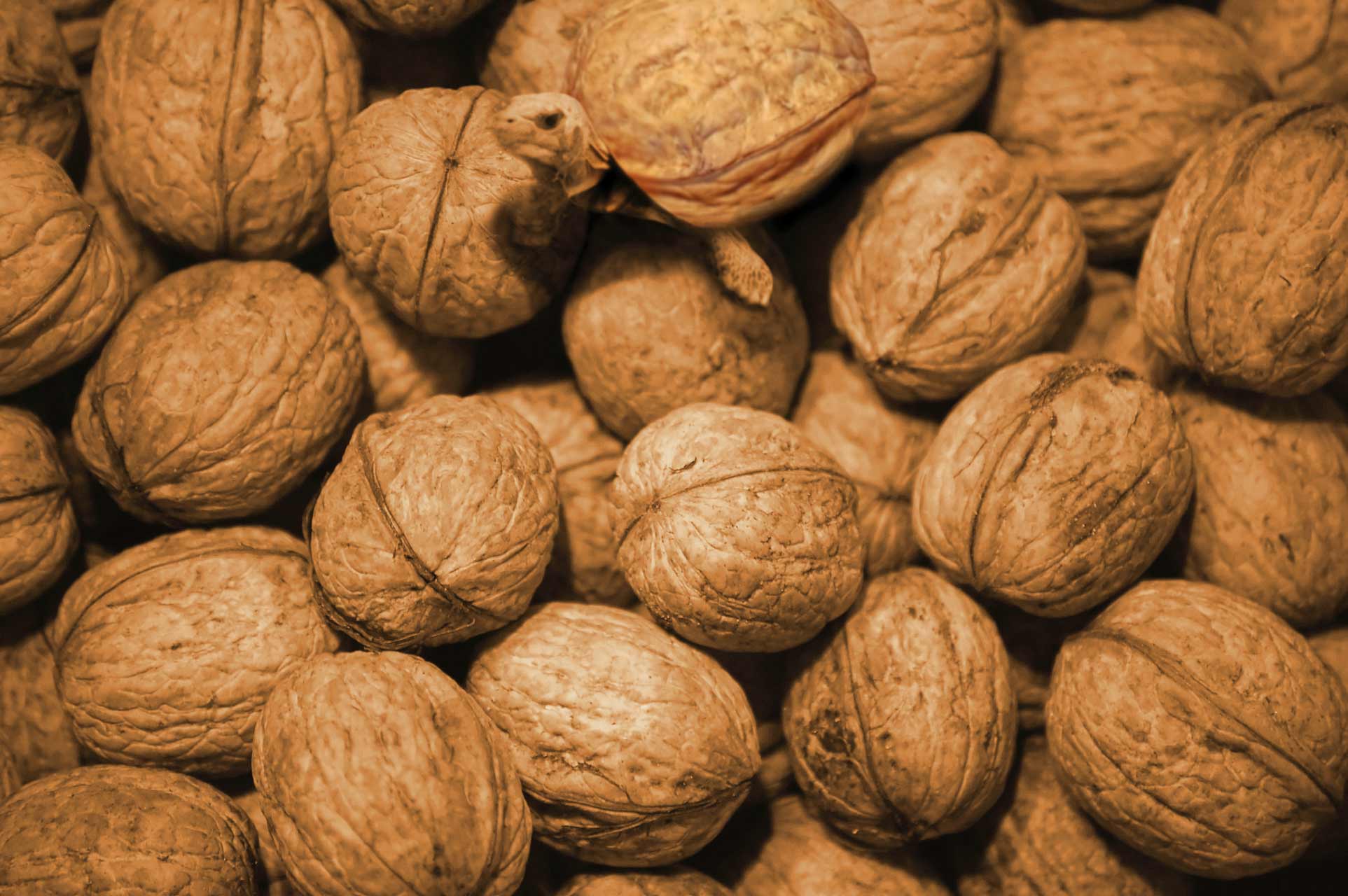 Diseño de Photoshop por rikbulthuis para DesignCrowd (Community Contests) | Diseño #8991213