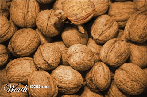 Photoshop Design by rikbulthuis