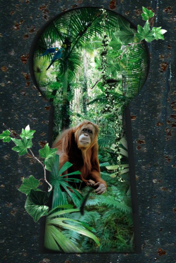 Photoshop Design by sanderleeuw for DesignCrowd (Community Contests) | Design #8989052