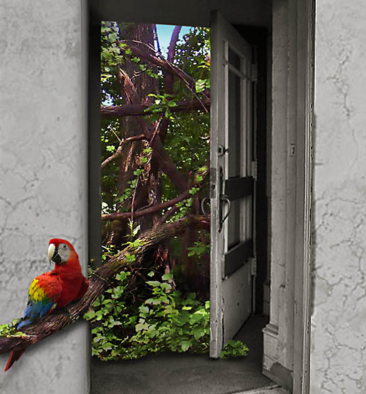 Photoshop Design by jhwdesigns for DesignCrowd (Community Contests) | Design #8989035