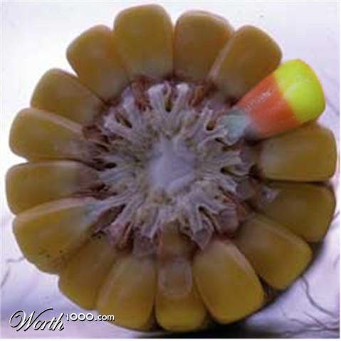 Photoshop Design by Starfoot