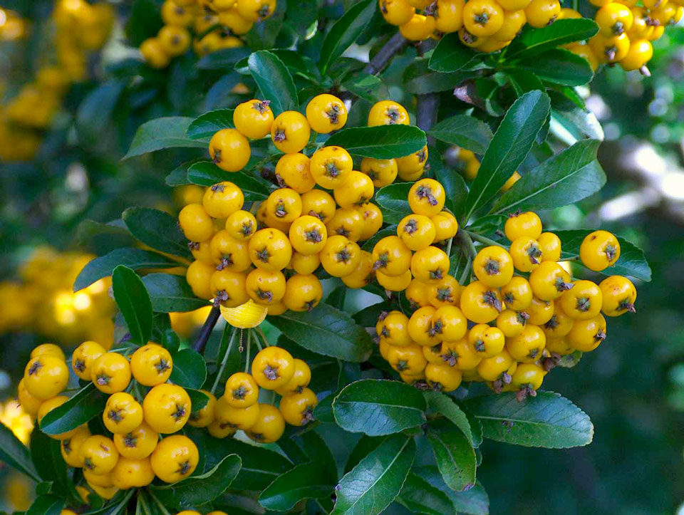 Photoshop Design by PJcub99 for DesignCrowd (Community Contests) | Design #8991240