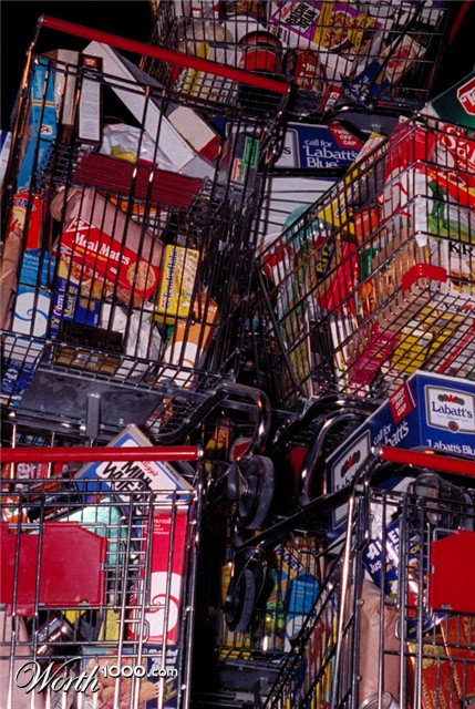 Photography by scarpino36109