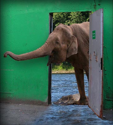 Photoshop Design by SphiPony for DesignCrowd (Community Contests) | Design #8989005