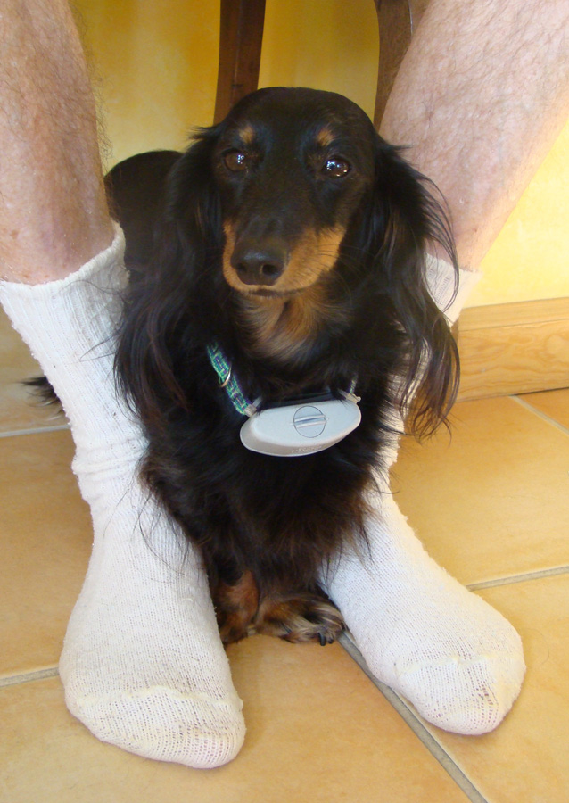 Photography by SallySmyth for DesignCrowd (Community Contests) | Design #8989328