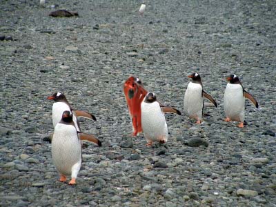 Photoshop Design by acidrain0117 for DesignCrowd (Community Contests) | Design #8991230