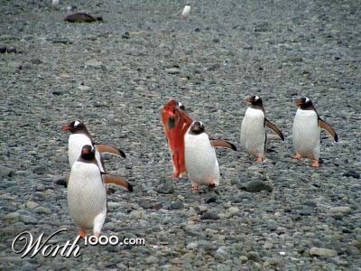 Photoshop Design by acidrain0117