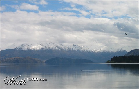 Photography by gymp93