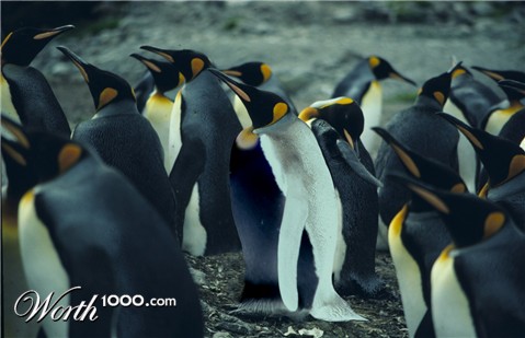 Photoshop Design by bobmercado