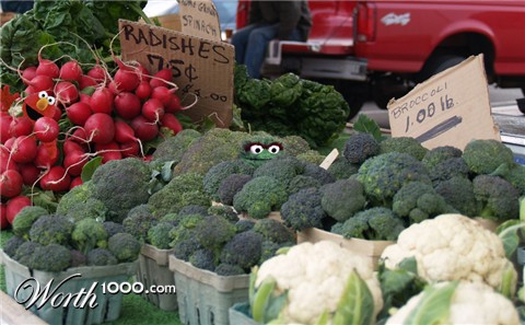 Photoshop Design by robotlick