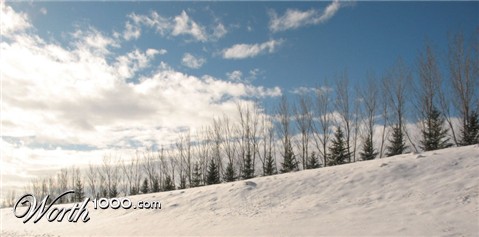 Photography by mydogeatsice