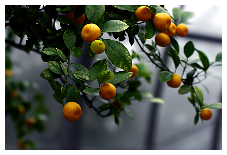 Design Photoshop par subhani pour DesignCrowd (Community Contests) | Design #8991228