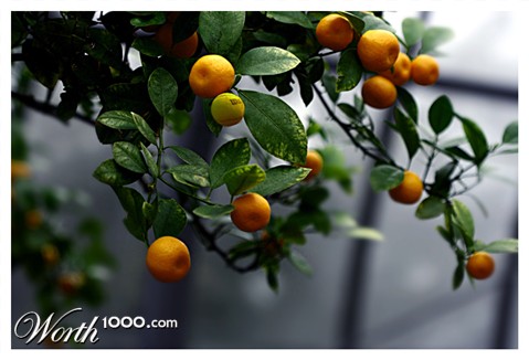 Photoshop Design by subhani