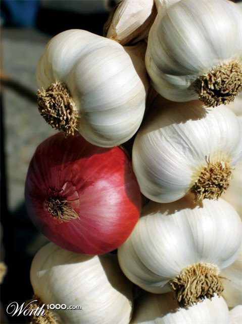 Photoshop Design by IarnaAlba