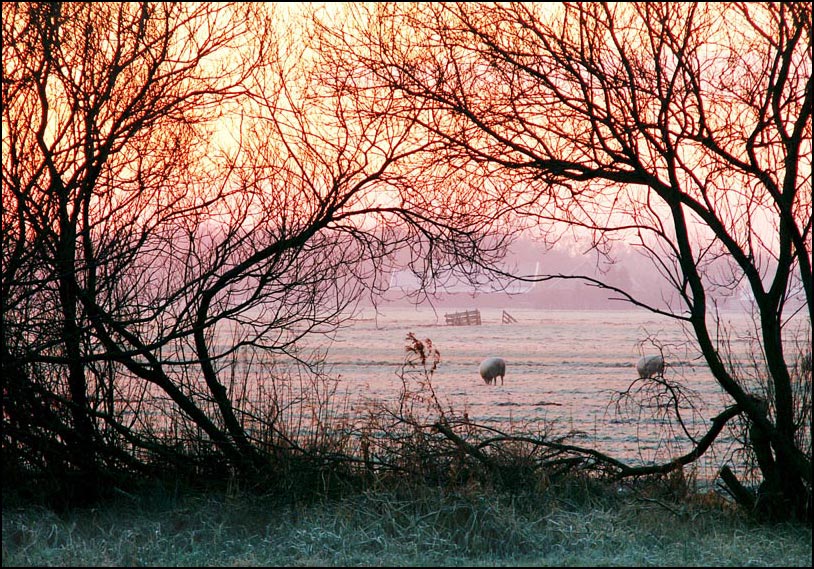 Photography by Pr4ktic for DesignCrowd (Community Contests) | Design #8984184