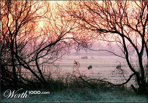 Photography by Pr4ktic