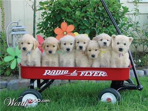 Photoshop Design by sunnythekid