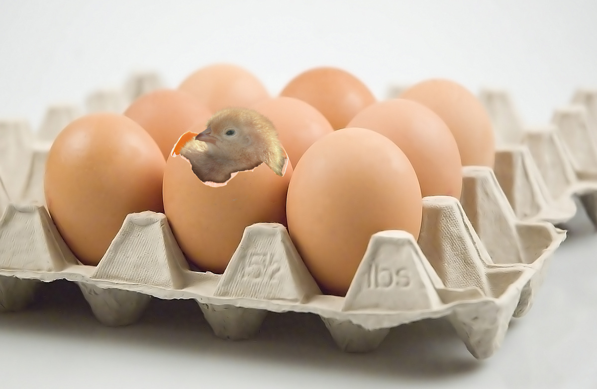 Design Photoshop par LostBritches pour DesignCrowd (Community Contests) | Design #8991342