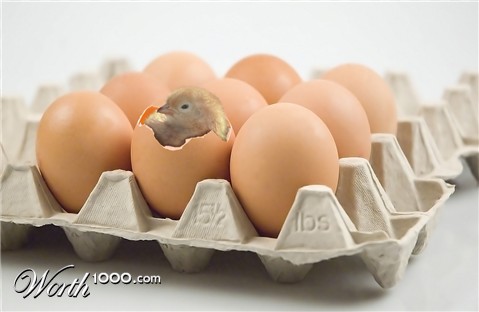 Photoshop Design by LostBritches