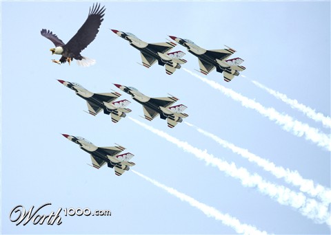 Photoshop Design by MeRamey