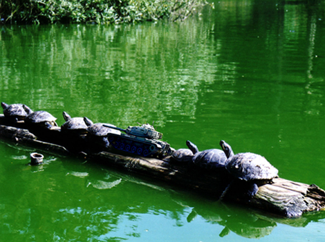 Photoshop Design by kahuahua for DesignCrowd (Community Contests) | Design #8991440