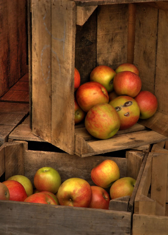 Diseño de Photoshop por bennyandthemets para DesignCrowd (Community Contests) | Diseño #8991340