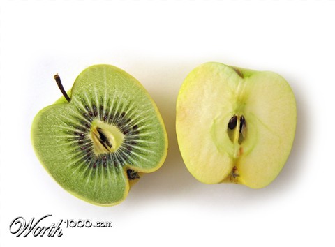 Photoshop Design by sherylphotomagic