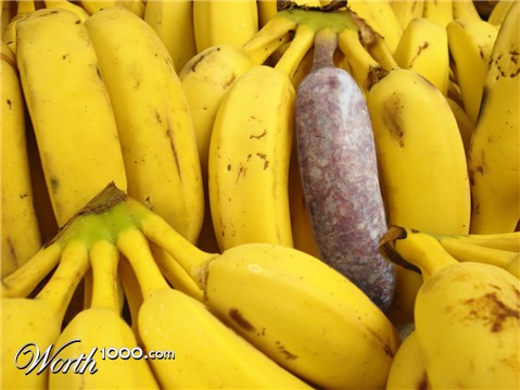 Photoshop Design by Tinman1000