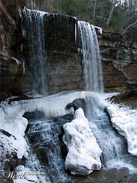 Photography by swamprat