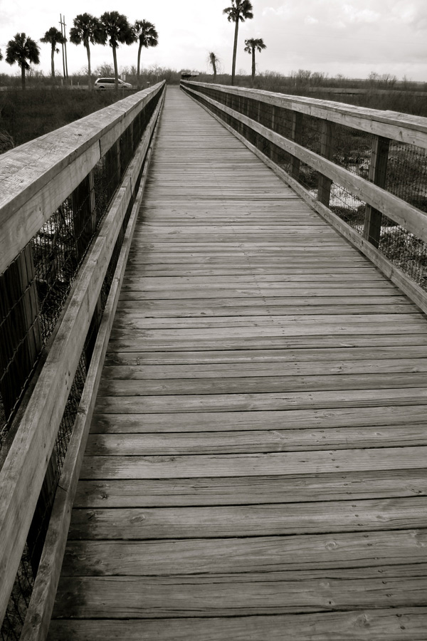 Photography by SallySmyth for DesignCrowd (Community Contests) | Design #8989709