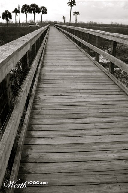 Photography by SallySmyth