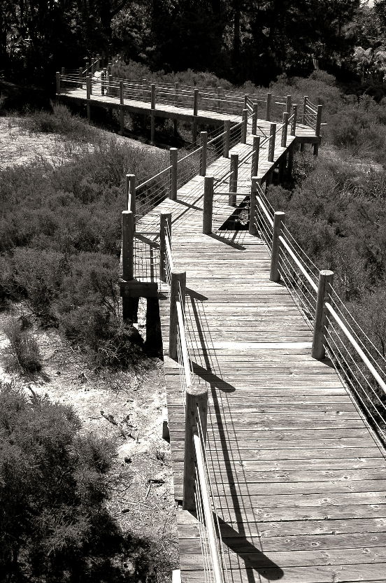 Photography by tlovesd for DesignCrowd (Community Contests) | Design #8989736