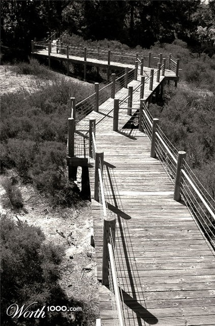 Photography by tlovesd