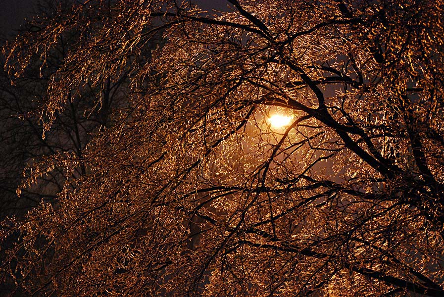 Fotografía por millgage para DesignCrowd (Community Contests) | Diseño #8984211