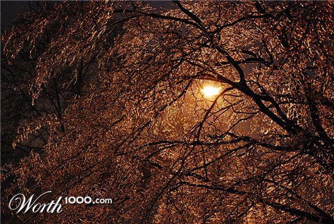 Photography by millgage