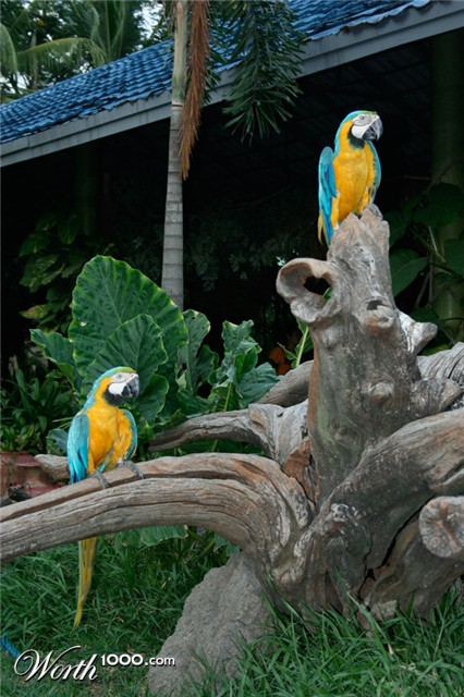 Photography by sudiptatatha