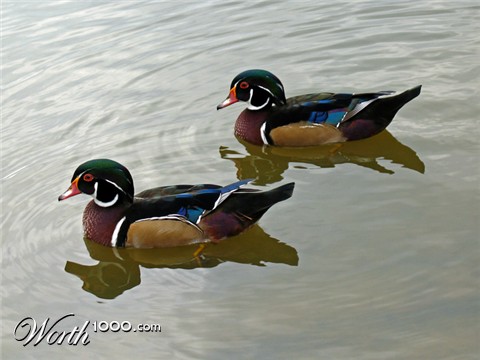 Photography by jersalv1