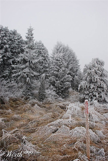 Photography by Bastet