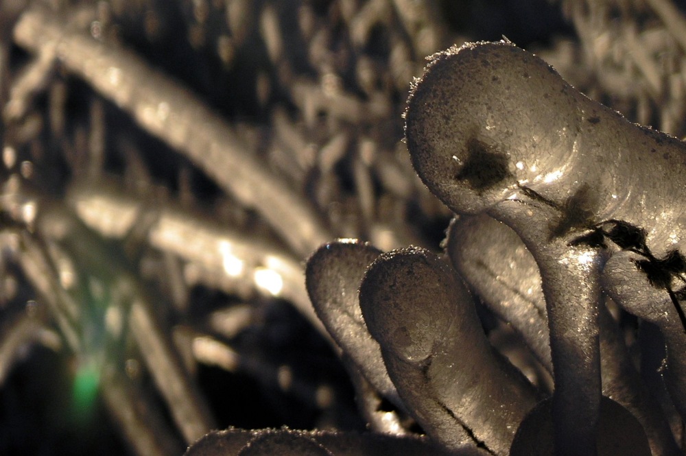 Photography by Twared for DesignCrowd (Community Contests) | Design #8984196