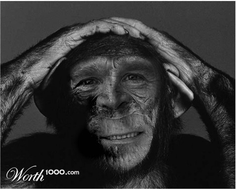Photoshop Design by alexperez