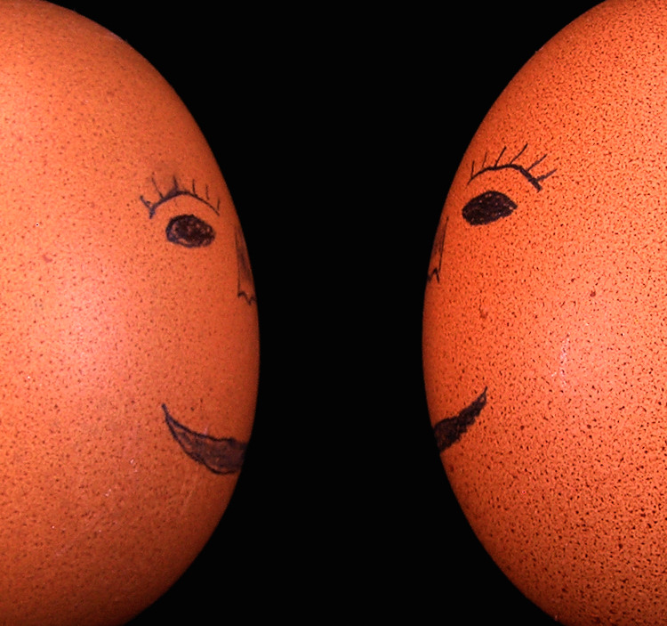 Photography by ercolano for DesignCrowd (Community Contests) | Design #8983211