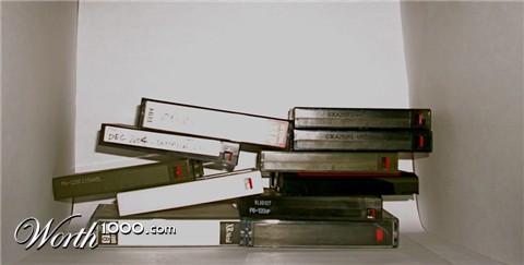 Photography by dinosaur