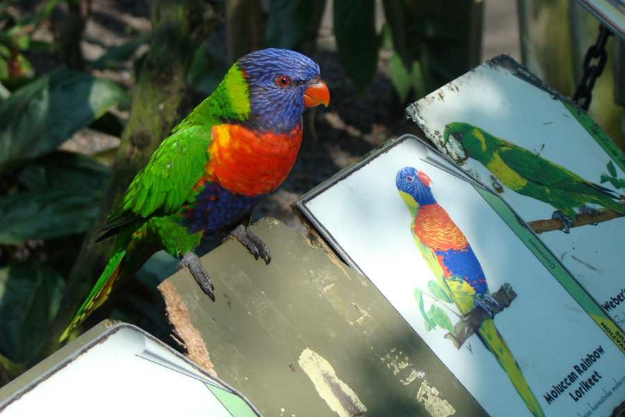 Photography by SallySmyth for DesignCrowd (Community Contests) | Design #8983217