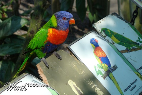 Photography by SallySmyth