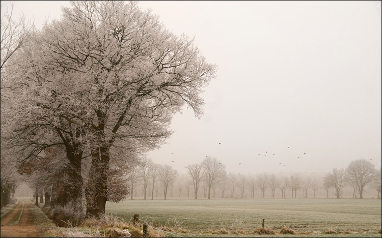 Fotografie von Marian für DesignCrowd (Community Contests) | Design #8984223