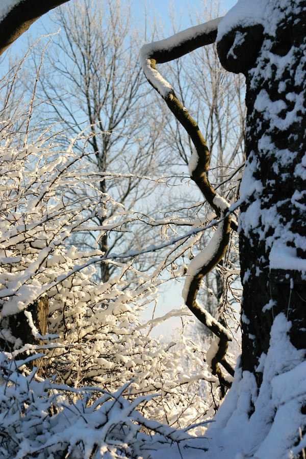 Photography by DurhamTyke for DesignCrowd (Community Contests) | Design #8984236