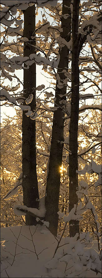 Photography by georgethedog for DesignCrowd (Community Contests) | Design #8984233